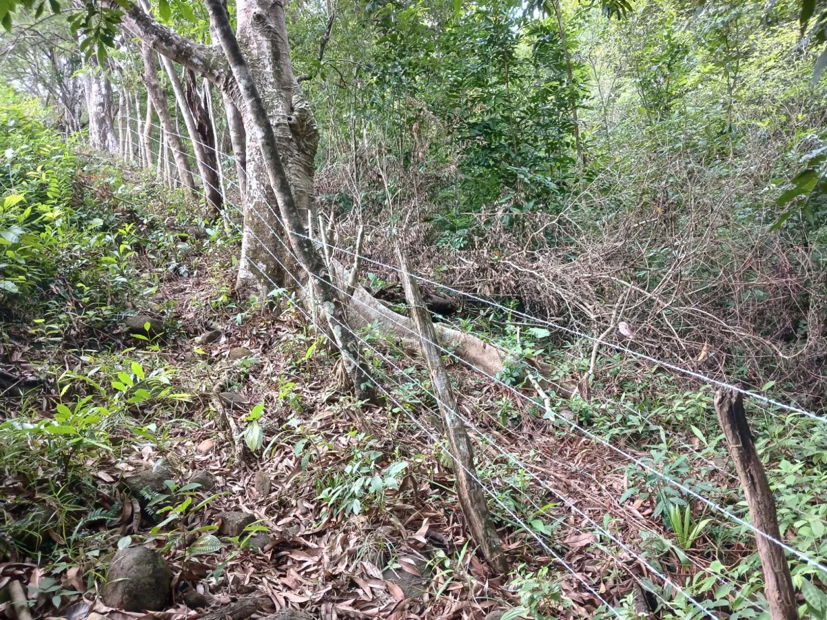 Vendo terreno 47 hectáreas San Miguel, Carriazo, Río Pacora Arriba