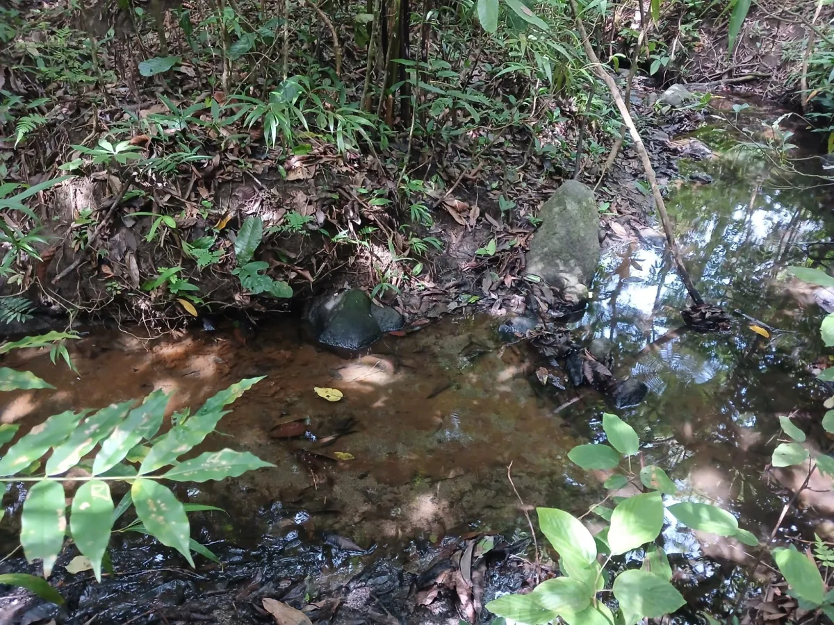 Vendo terreno 47 hectáreas San Miguel, Carriazo, Río Pacora Arriba