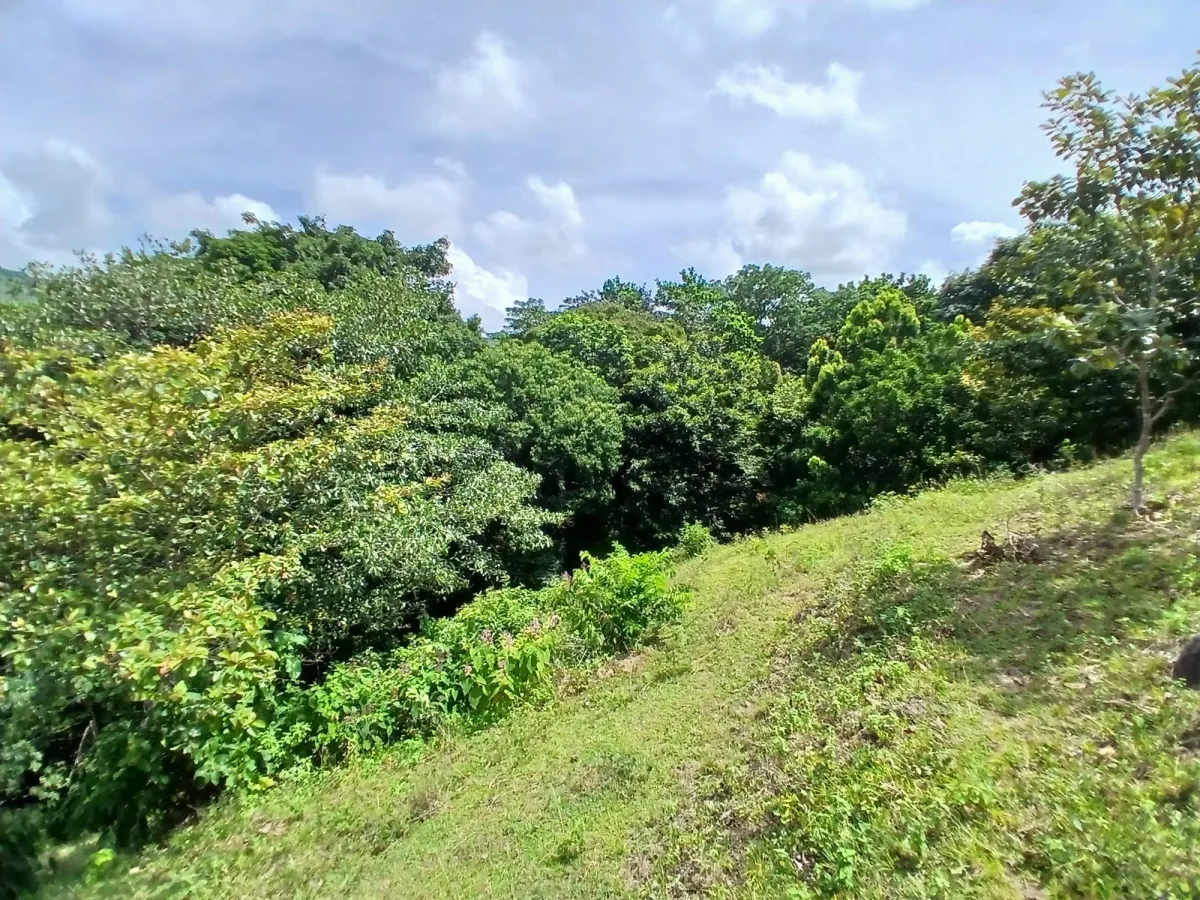 Vendo terreno 47 hectáreas San Miguel, Carriazo, Río Pacora Arriba