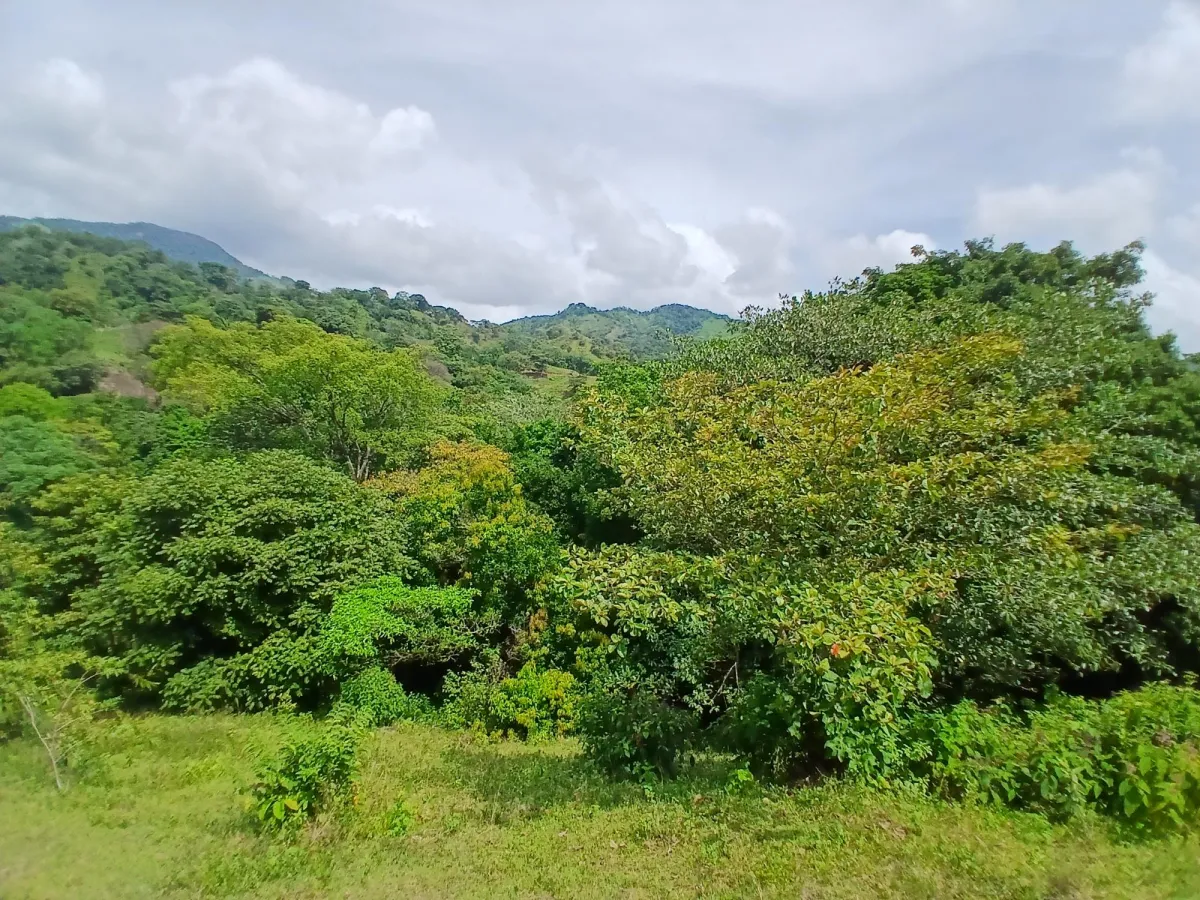 Vendo terreno 47 hectáreas San Miguel, Carriazo, Río Pacora Arriba