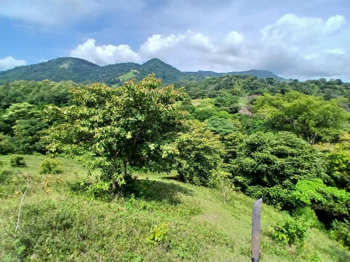 Vendo terreno 47 hectáreas San Miguel, Carriazo, Río Pacora Arriba
