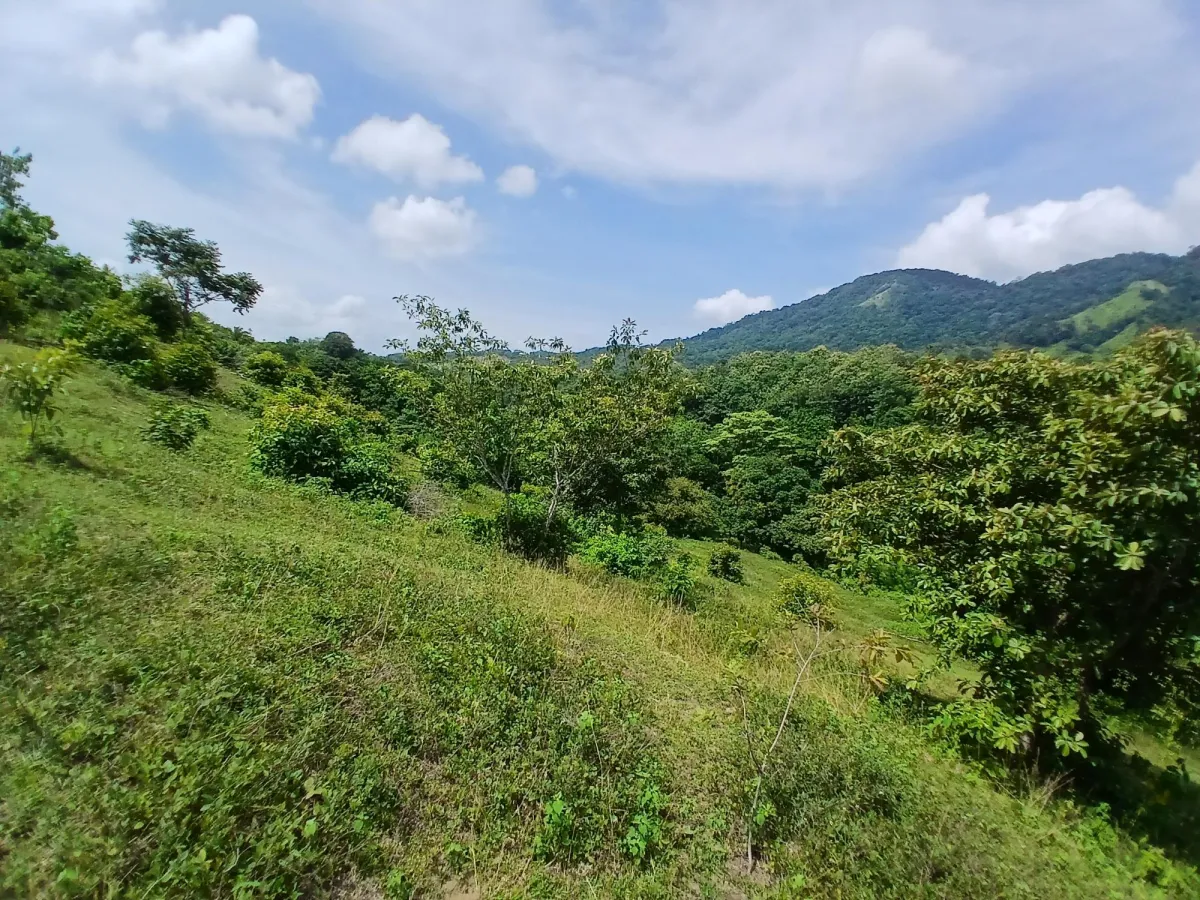 Vendo terreno 47 hectáreas San Miguel, Carriazo, Río Pacora Arriba