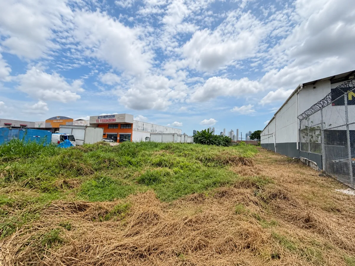 Land for sale on José Agustín Arango Avenue