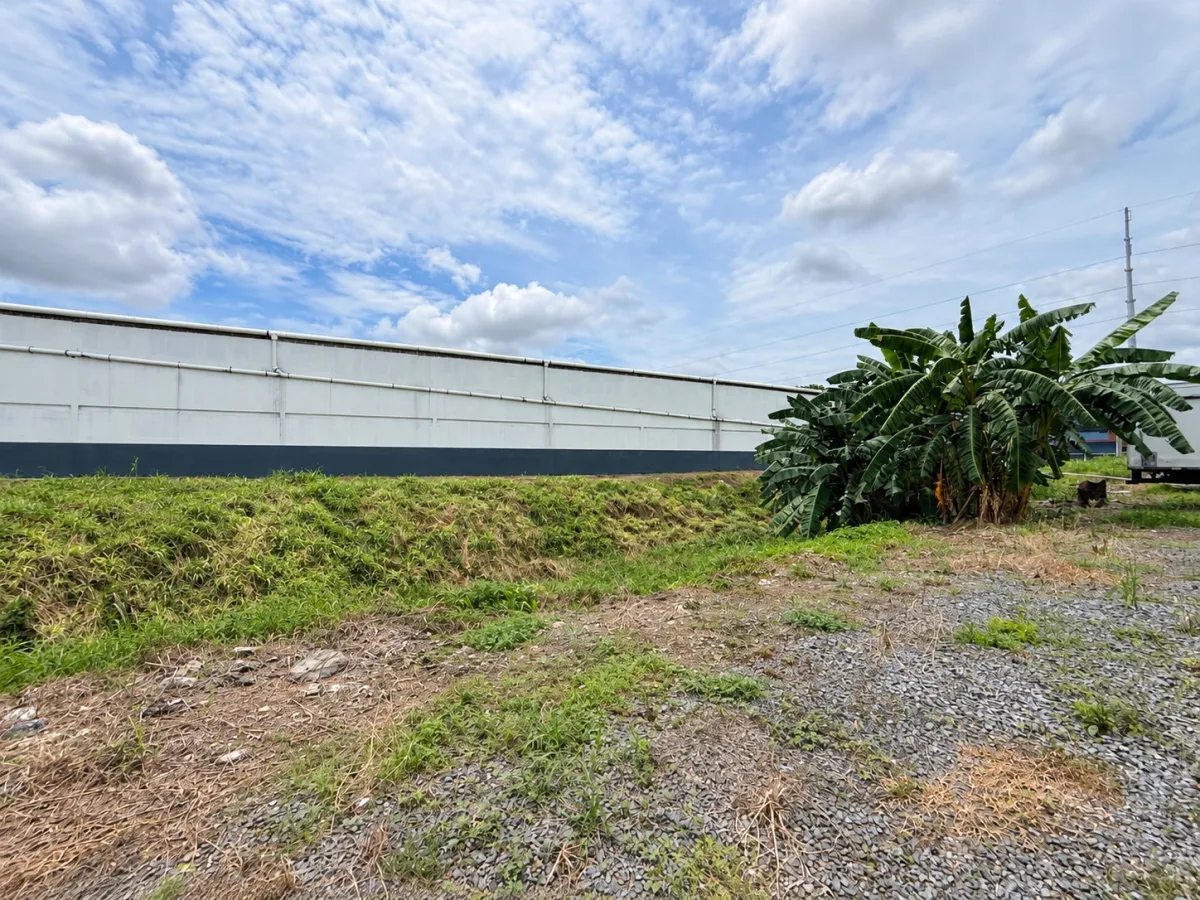 Land for sale on José Agustín Arango Avenue
