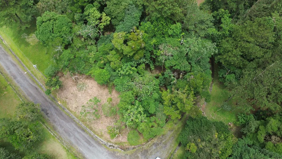 14,755 sq ft Corner lot in Altos del Maria