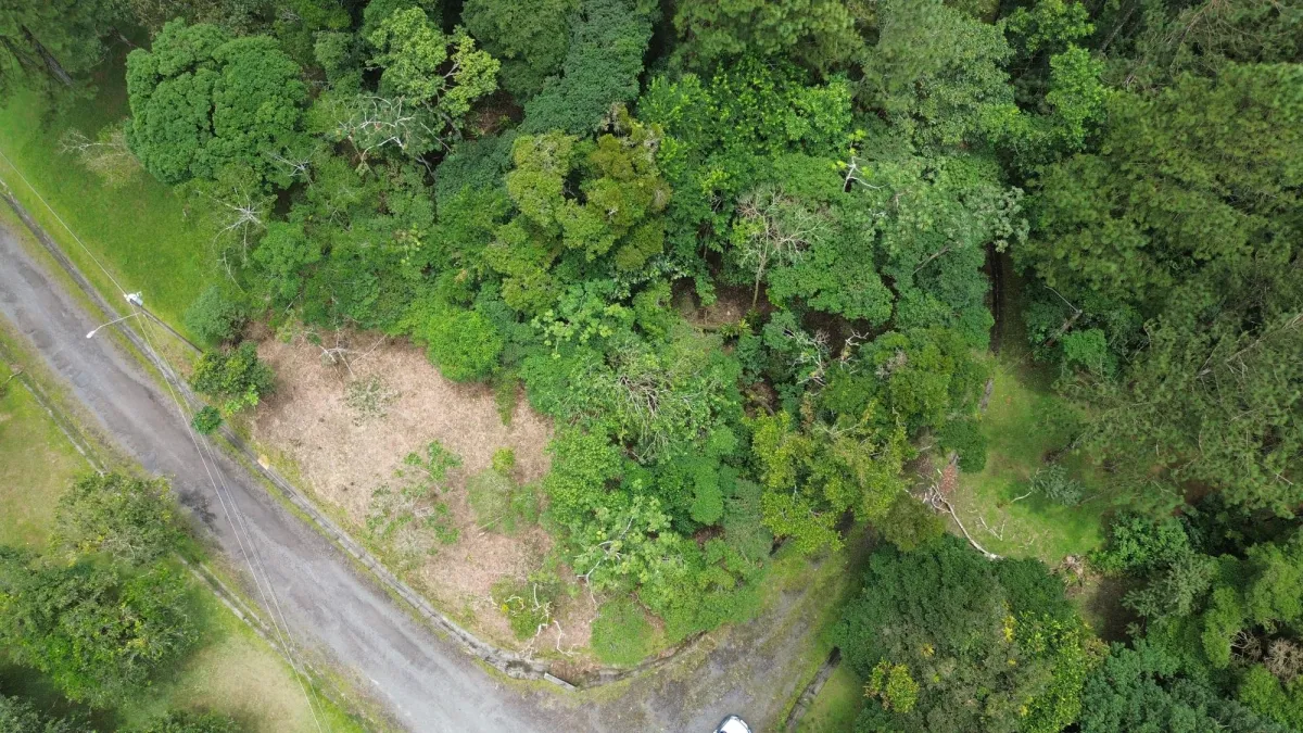 14,755 sq ft Corner lot in Altos del Maria