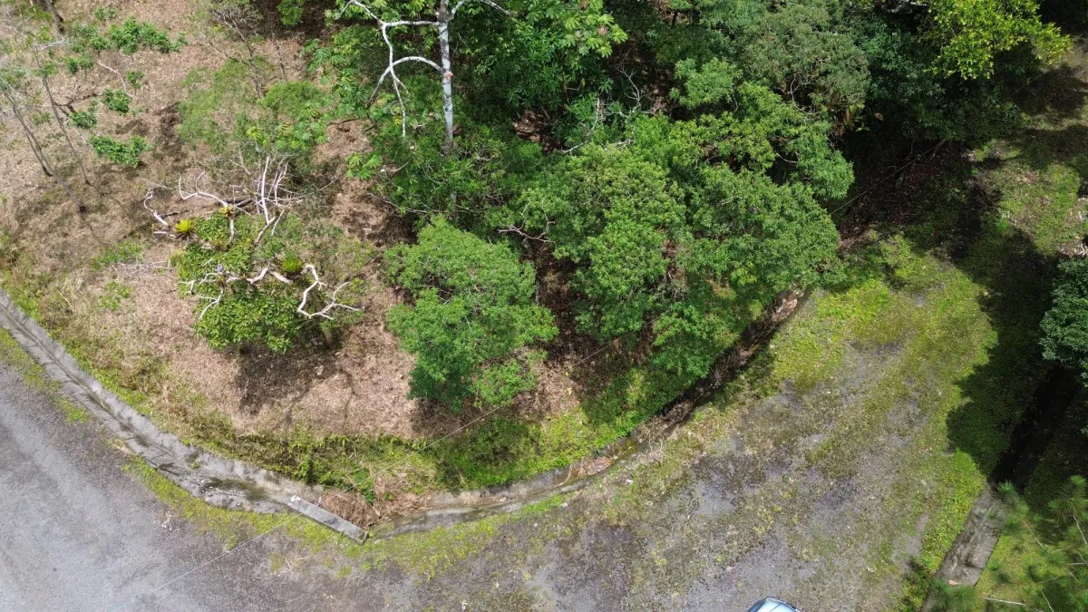 14,755 sq ft Corner lot in Altos del Maria