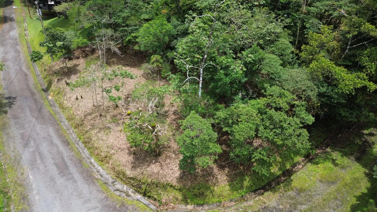 14,755 sq ft Corner lot in Altos del Maria