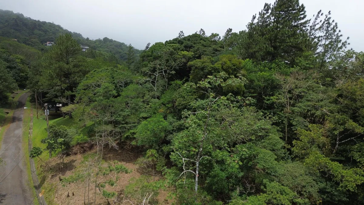 14,755 sq ft Corner lot in Altos del Maria