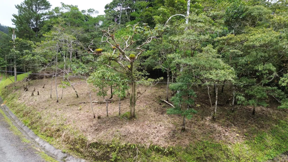 14,755 sq ft Corner lot in Altos del Maria