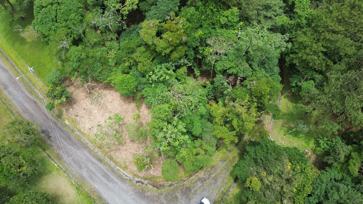 14,755 sq ft Corner lot in Altos del Maria
