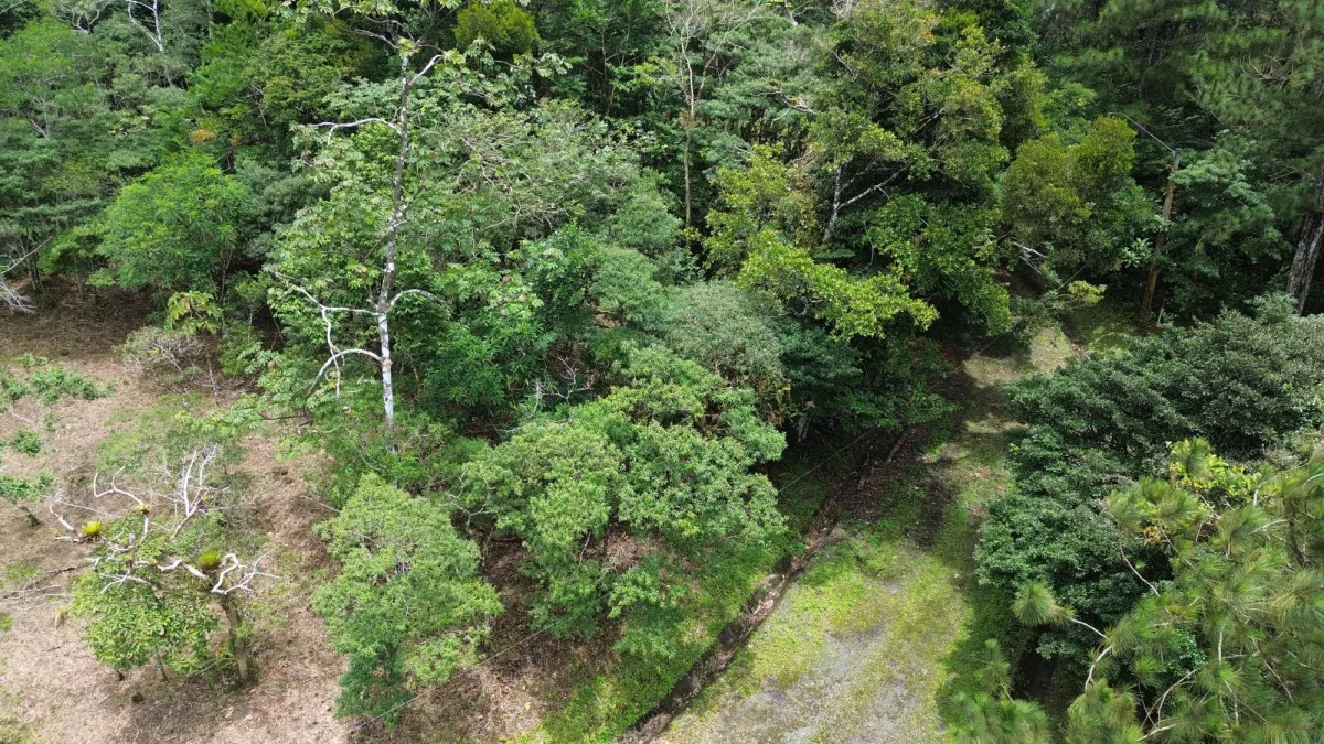 14,755 sq ft Corner lot in Altos del Maria