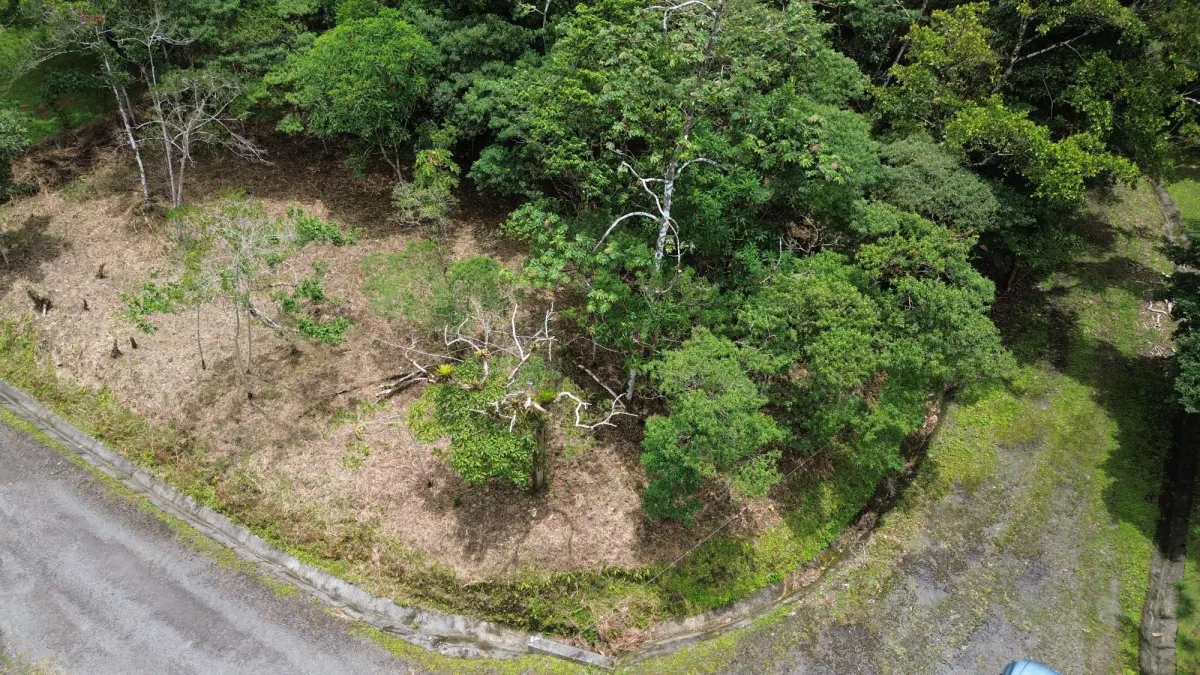 14,755 sq ft Corner lot in Altos del Maria