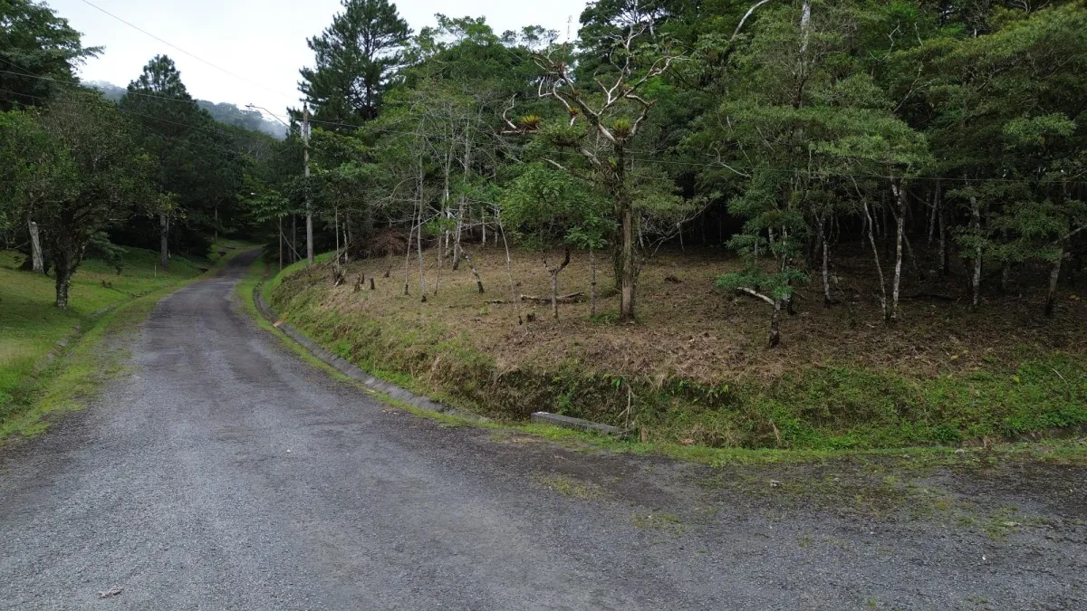 14,755 sq ft Corner lot in Altos del Maria
