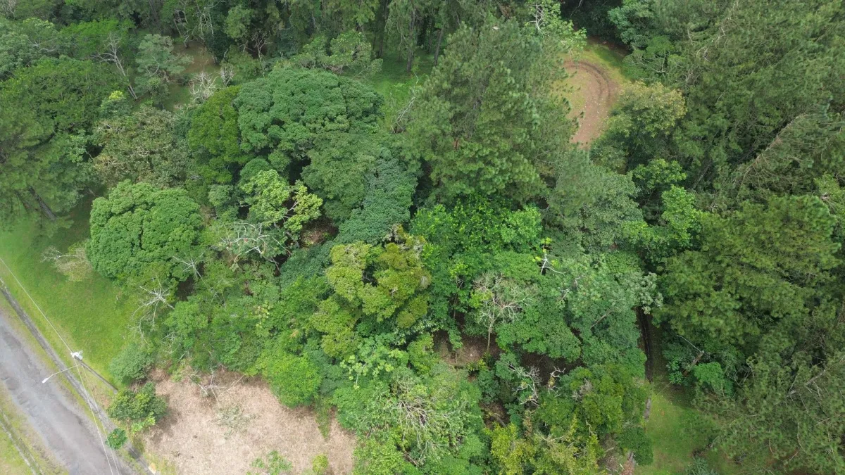 14,755 sq ft Corner lot in Altos del Maria