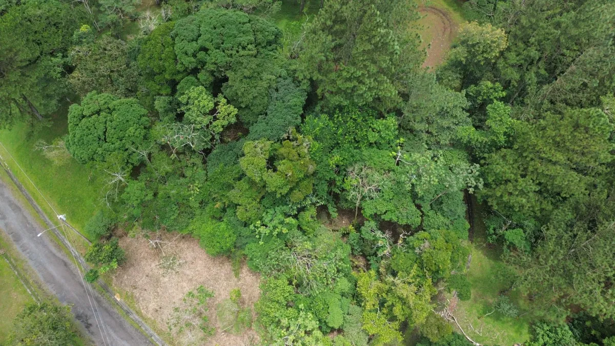 14,755 sq ft Corner lot in Altos del Maria