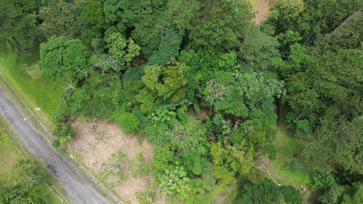 14,755 sq ft Corner lot in Altos del Maria