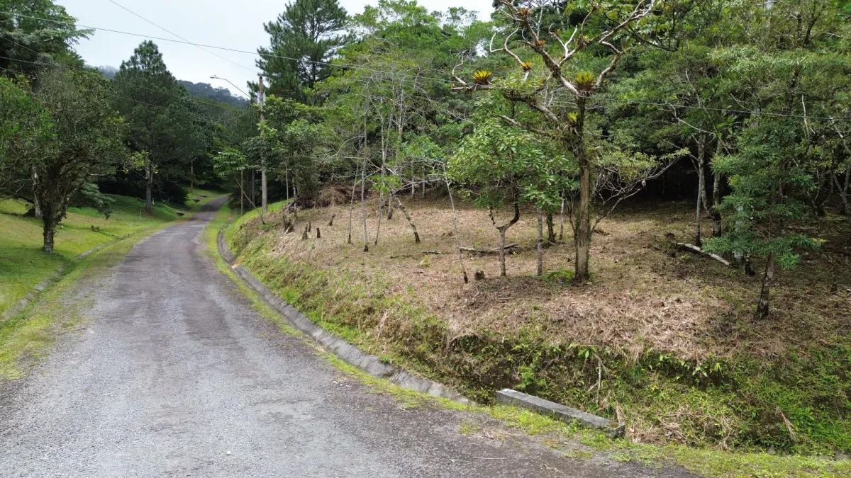 14,755 sq ft Corner lot in Altos del Maria