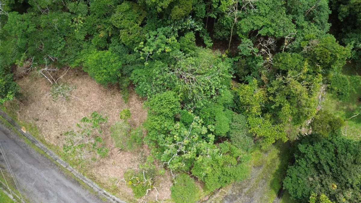 14,755 sq ft Corner lot in Altos del Maria