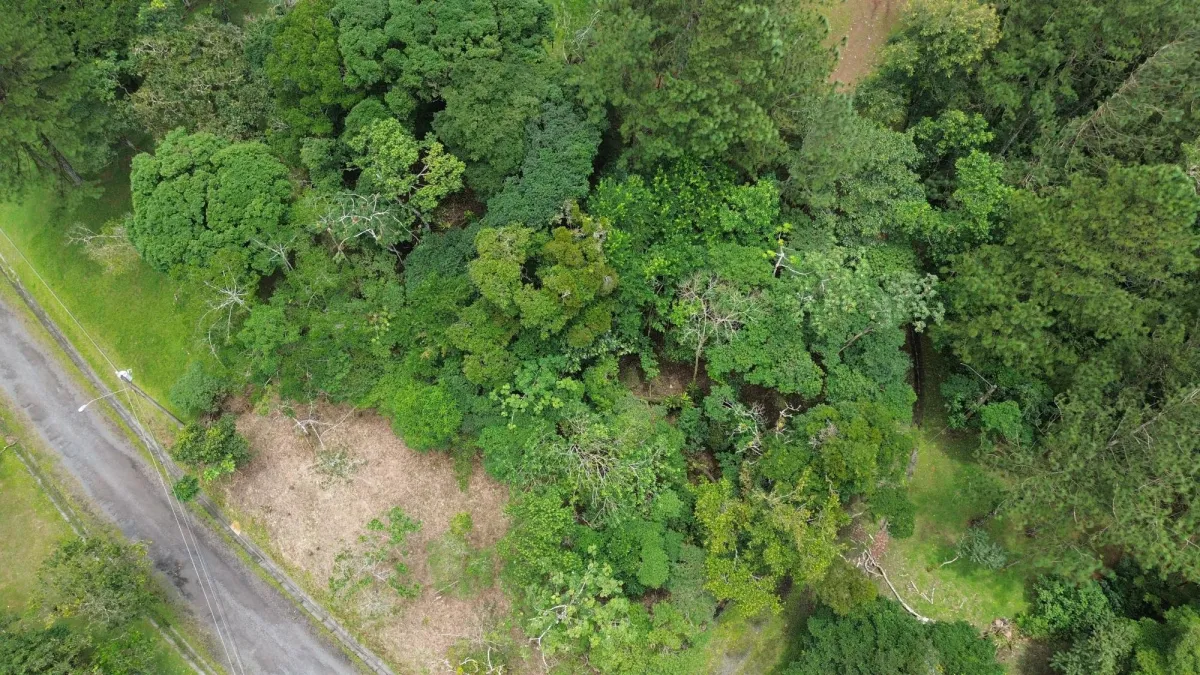14,755 sq ft Corner lot in Altos del Maria