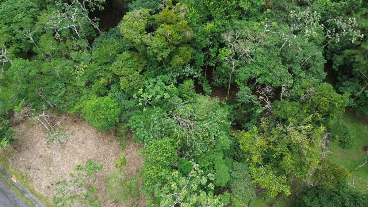 14,755 sq ft Corner lot in Altos del Maria
