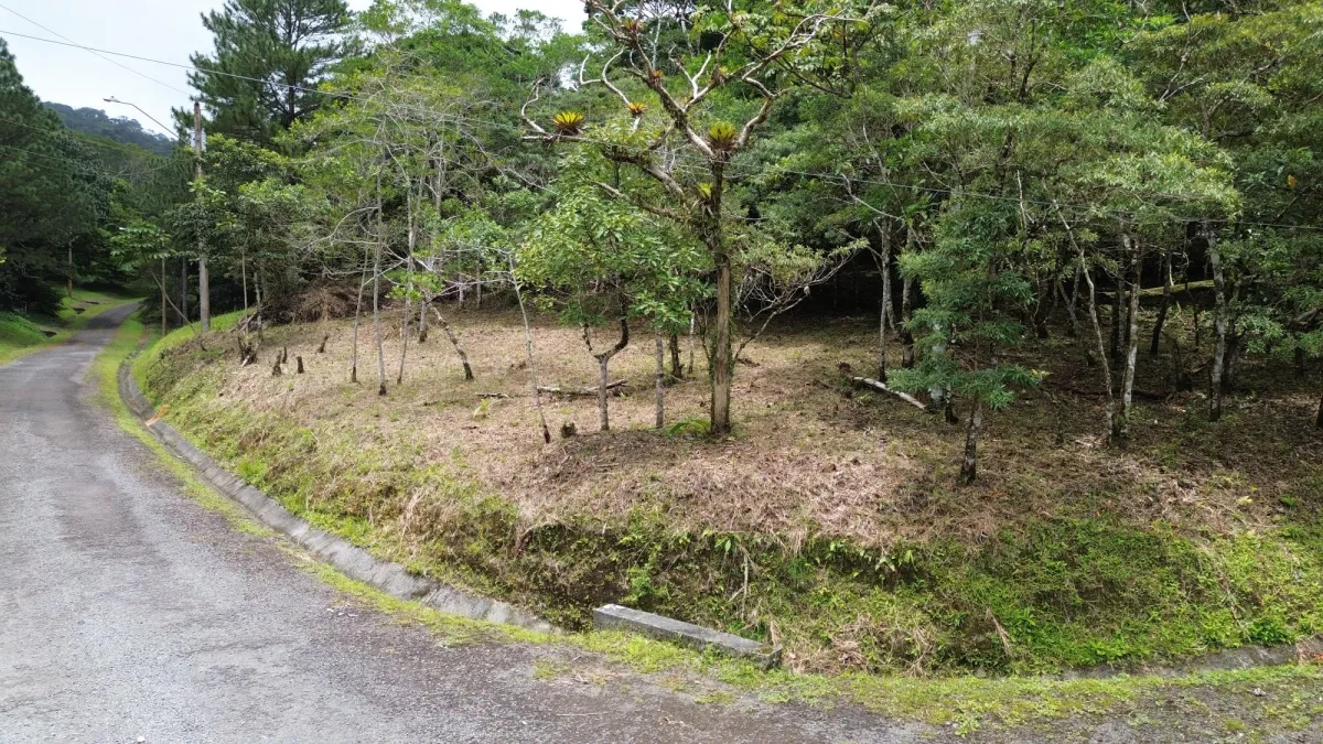 14,755 sq ft Corner lot in Altos del Maria
