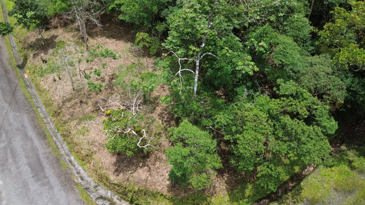 14,755 sq ft Corner lot in Altos del Maria
