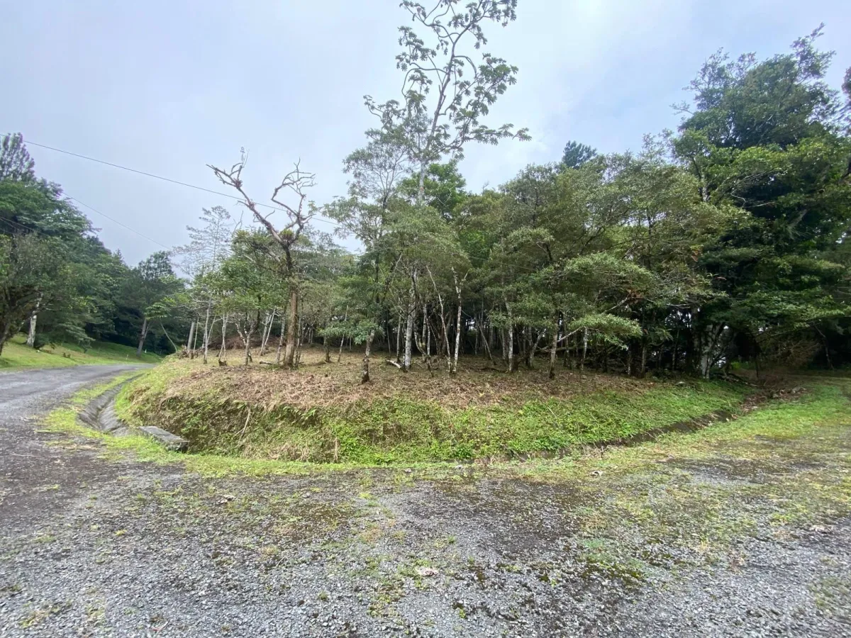14,755 sq ft Corner lot in Altos del Maria