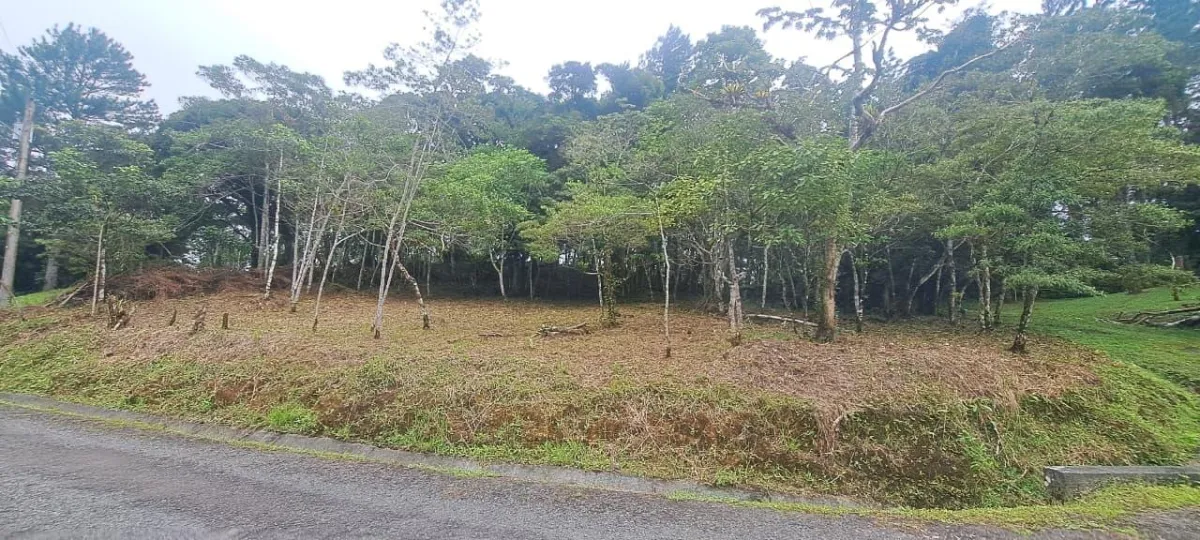 14,755 sq ft Corner lot in Altos del Maria