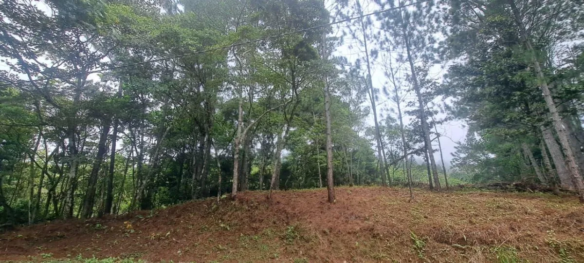 14,755 sq ft Corner lot in Altos del Maria