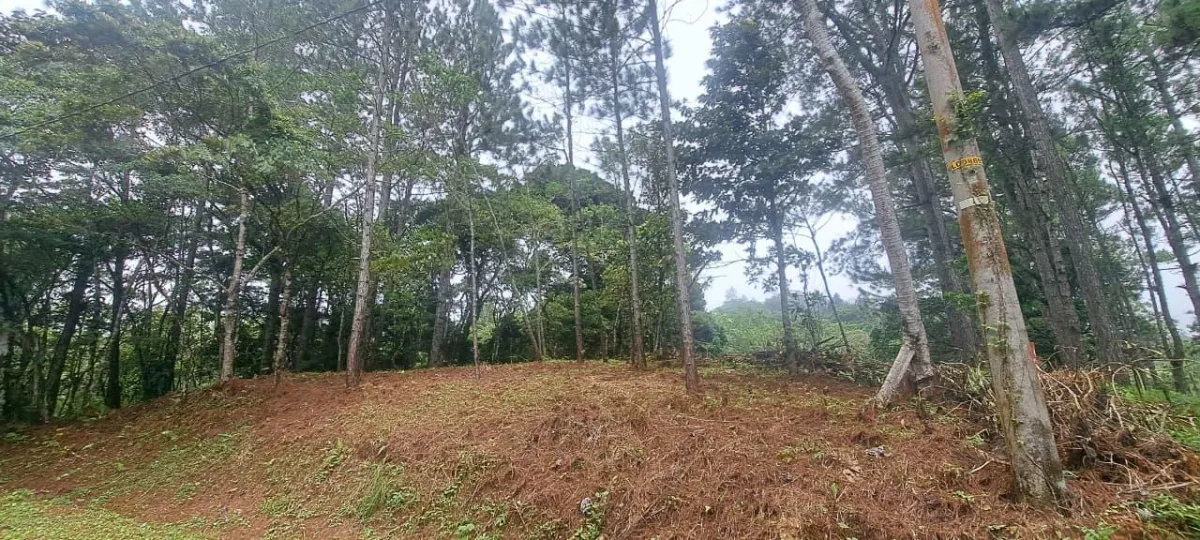 14,755 sq ft Corner lot in Altos del Maria
