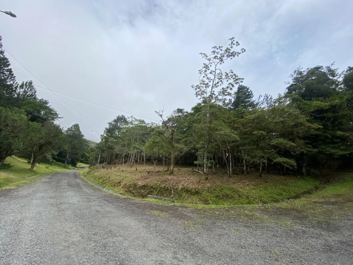 14,755 sq ft Corner lot in Altos del Maria