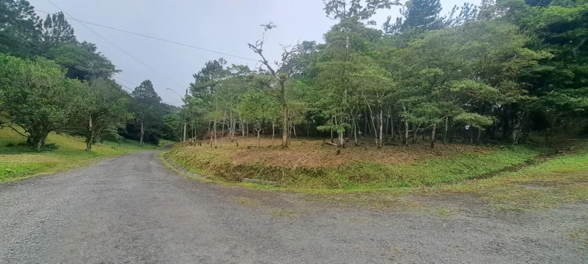 14,755 sq ft Corner lot in Altos del Maria