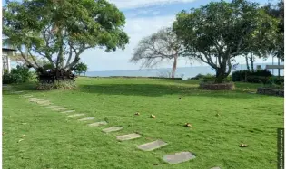 Land Sale in Bijao, Rio Hato