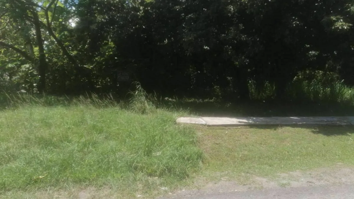 Building Lot for sale in San Carlos