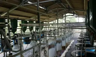 FINCA LECHERA EN EL GUAYABAL