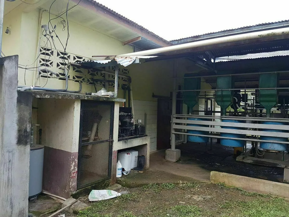 FINCA LECHERA EN EL GUAYABAL