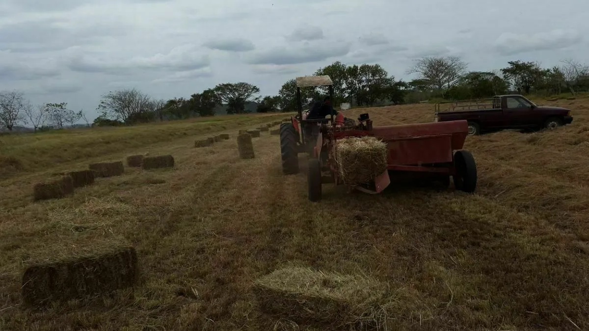 FINCA LECHERA EN EL GUAYABAL