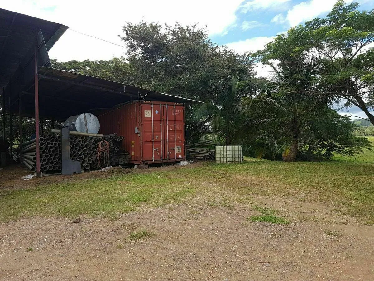 FINCA LECHERA EN EL GUAYABAL