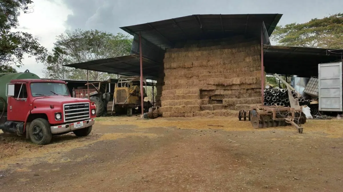 FINCA LECHERA EN EL GUAYABAL