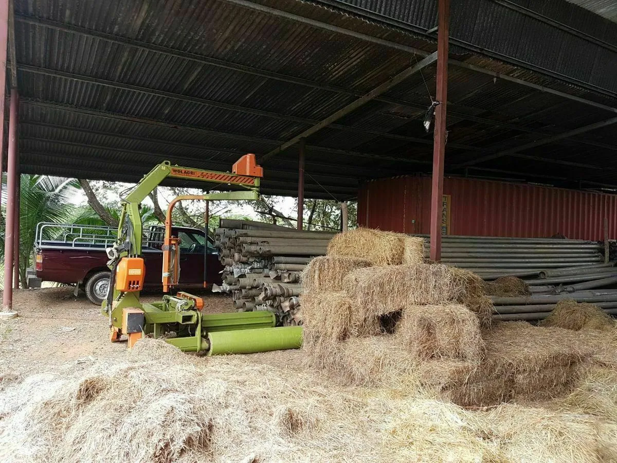 FINCA LECHERA EN EL GUAYABAL
