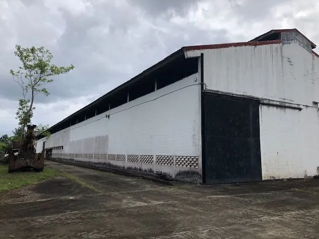 Warehouse for rent in Colon