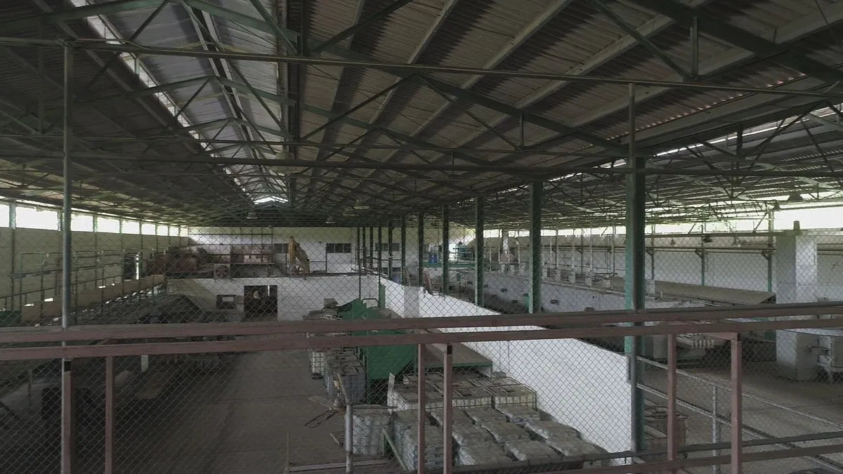 Warehouse for rent in Colon
