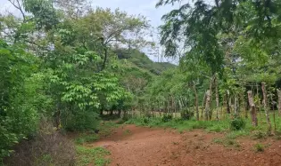 Venta terreno en Portobelillo