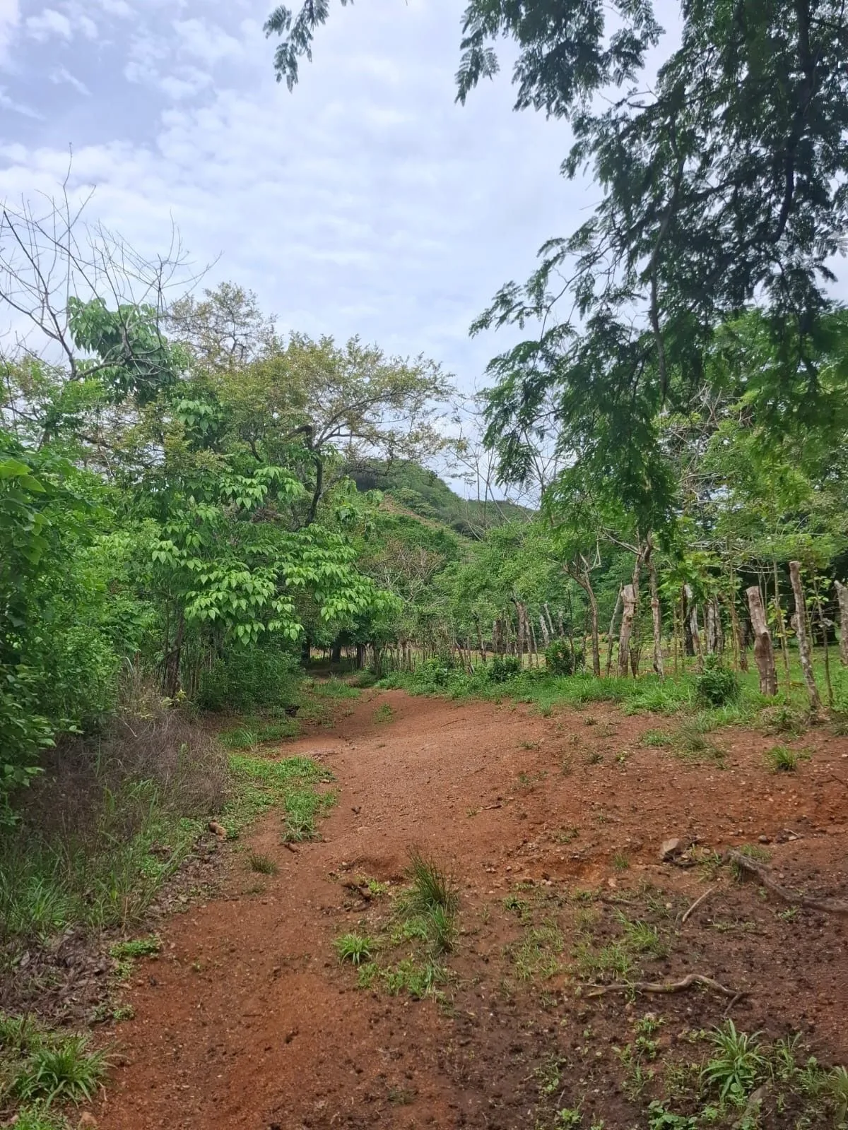 Venta terreno en Portobelillo