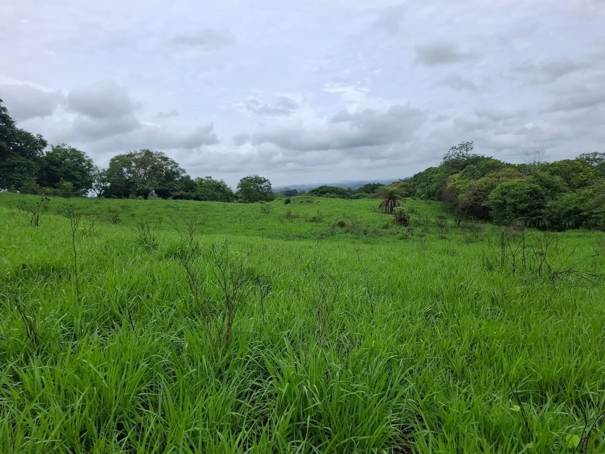 Venta terreno en Portobelillo