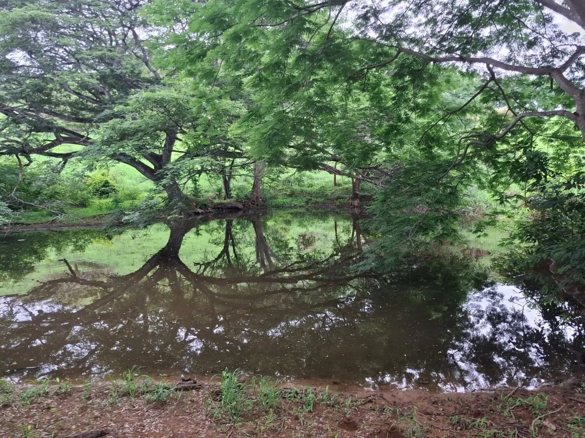 Venta terreno en Portobelillo