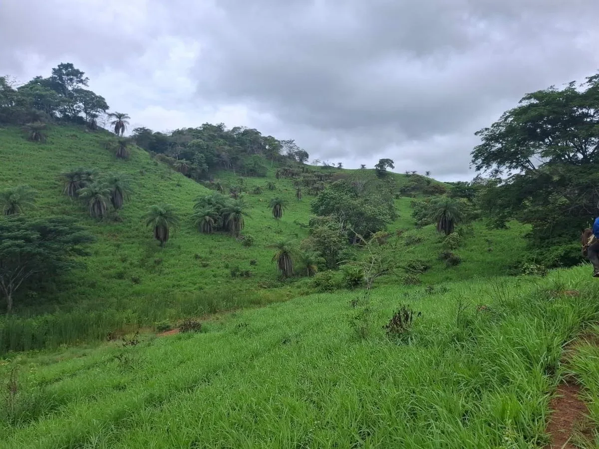 Venta terreno en Portobelillo