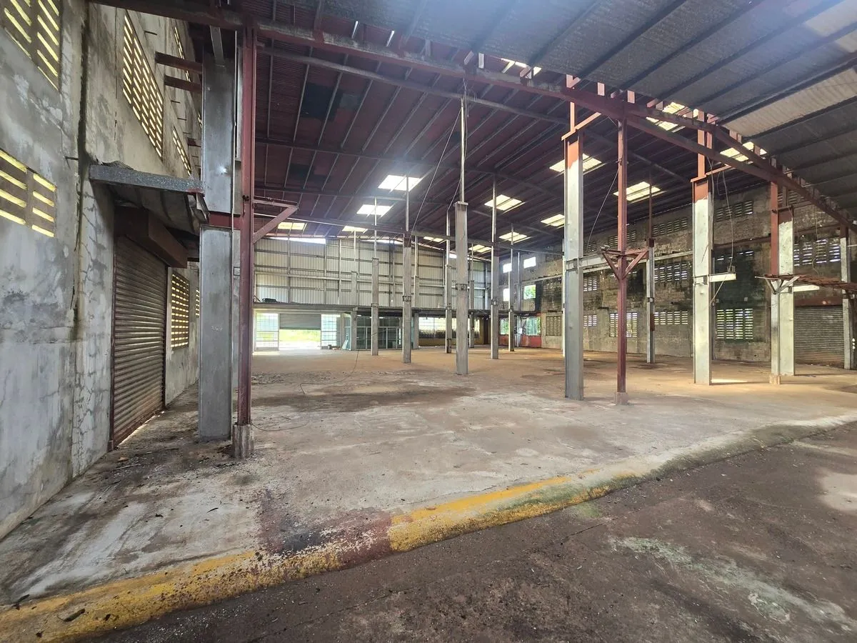 Warehouse for sale in Aguadulce