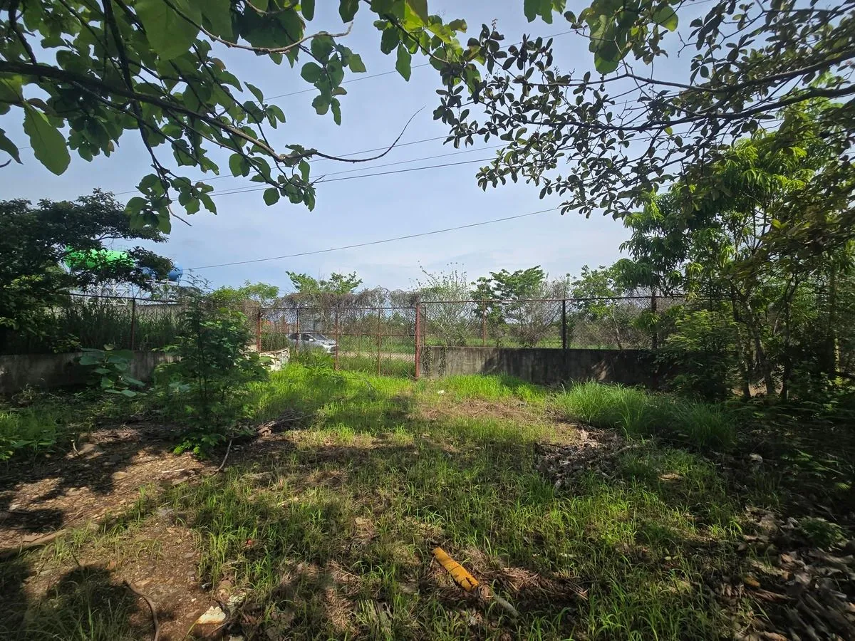 Warehouse for sale in Aguadulce